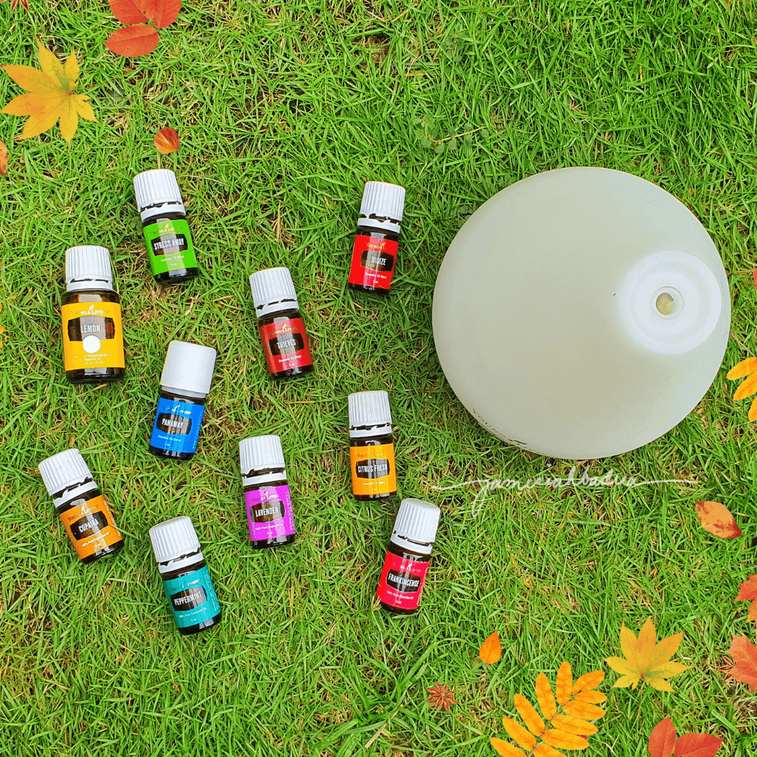 Image for Building a team at Young Living?